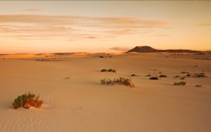 Corralejo Dunes Fuerteventura