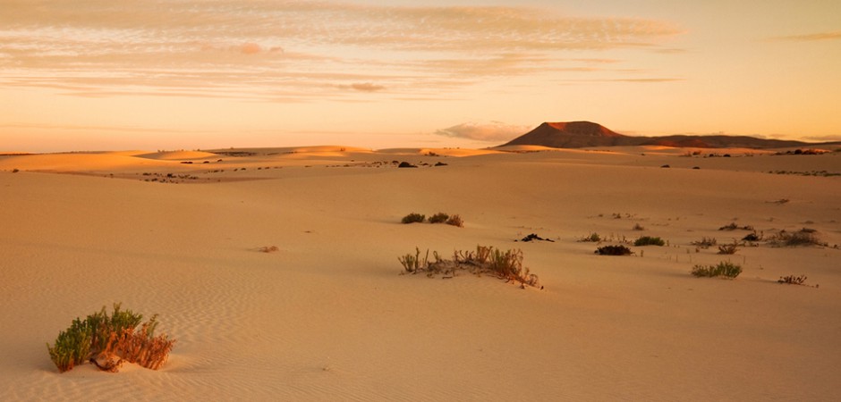 Corralejo Dunes Fuerteventura