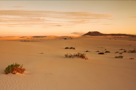 Corralejo Dunes Fuerteventura