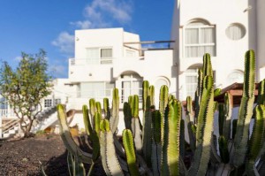 Surfcamp Corralejo Fuerteventura