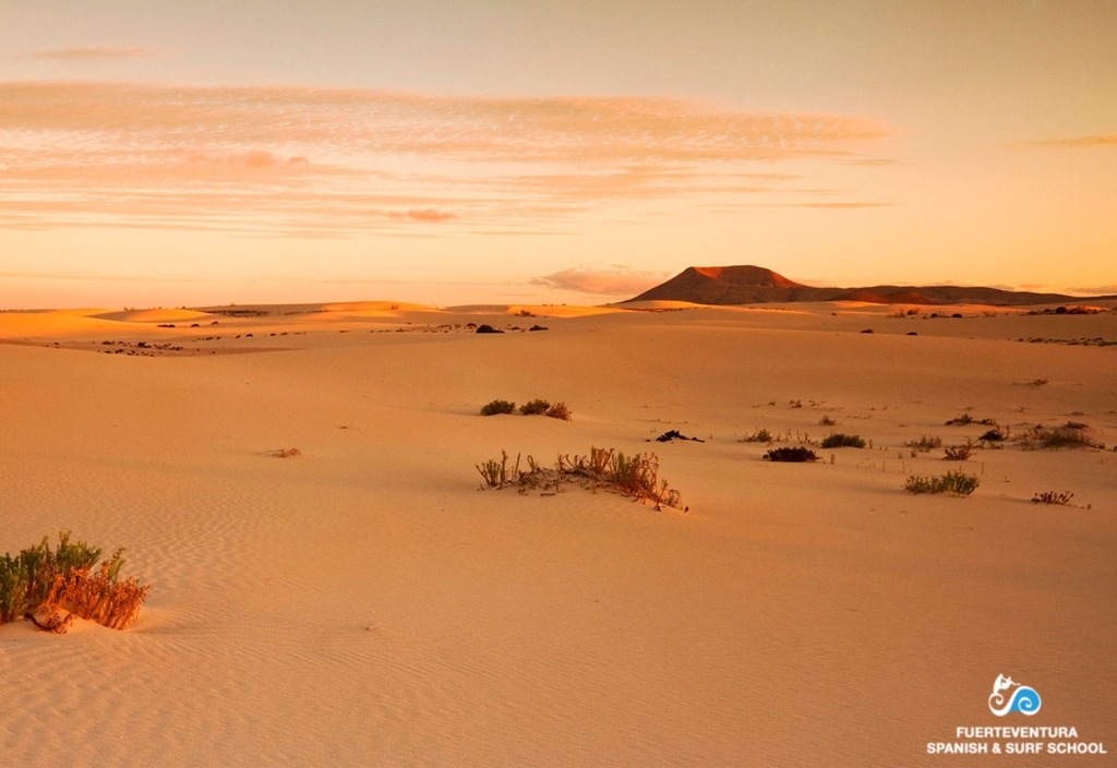 Corralejo Dunes